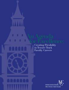 An Agenda forCreating Excellence: Flexibility in Tenure-Track Faculty Careers