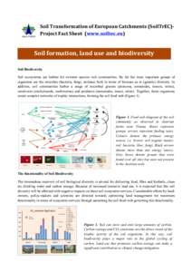 Soil	
  Transformation	
  of	
  European	
  Catchments	
  (SoilTrEC)-­‐	
   Project	
  Fact	
  Sheet	
  	
  (www.soiltec.eu)	
   	
   Soil	
  formation,	
  land	
  use	
  and	
  biodiversity	
  