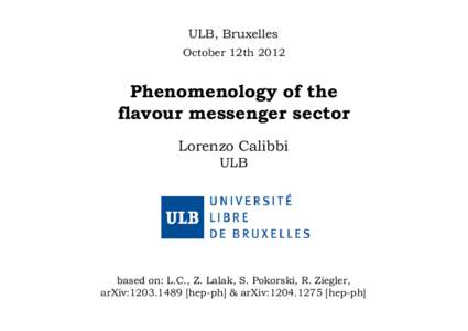 ULB, Bruxelles October 12th 2012 Phenomenology of the flavour messenger sector Lorenzo Calibbi