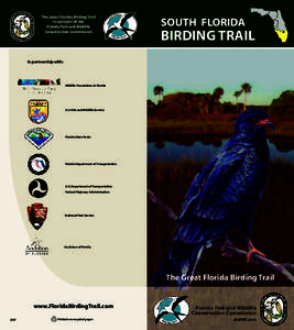The Great Florida Birding Trail is a project of the Florida Fish and Wildlife Conservation Commission  SOUTH FLORIDA