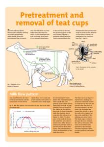0RETREATMENT�AND� REMOVAL�OF�TEAT�CUPS P  roper milking means