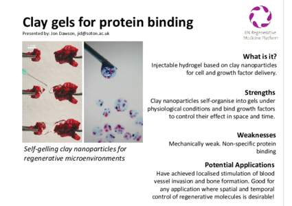 Clay gels for protein binding Presented by: Jon Dawson,  What is it?  Injectable hydrogel based on clay nanoparticles