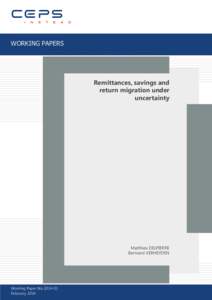 WORKING PAPERS  Remittances, savings and return migration under uncertainty