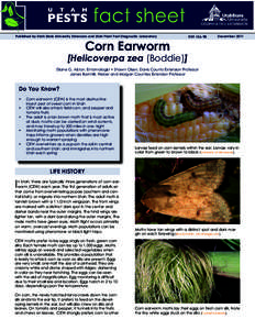 Published by Utah State University Extension and Utah Plant Pest Diagnostic Laboratory  Corn Earworm ENT