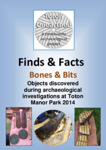 Finds & Facts Bones & Bits Objects discovered during archaeological investigations at Toton