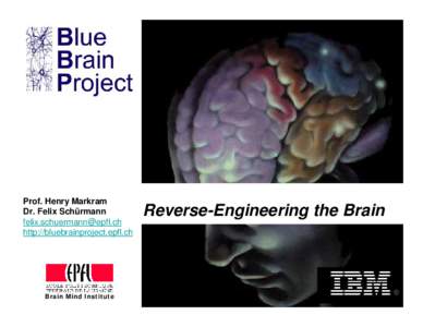 Prof. Henry Markram Dr. Felix Schürmann [removed] http://bluebrainproject.epfl.ch  Brain Mind Institute