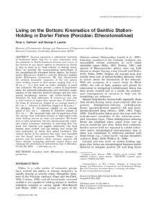 JOURNAL OF MORPHOLOGY 271:25–[removed]Living on the Bottom: Kinematics of Benthic StationHolding in Darter Fishes (Percidae: Etheostomatinae) Rose L. Carlson* and George V. Lauder Museum of Comparative Zoology and De