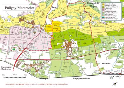Puligny-Montrachet  Grands Crus Blancs Premiers Crus Blancs Appellations Villages Blancs Grands Crus
