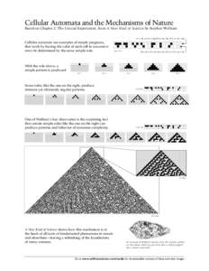Science / Cellular automaton / Rule 30 / Mathematics / A New Kind of Science / Rule 90 / Pattern / Stephen Wolfram / Rule 184 / Cellular automata / Wolfram Research / Systems theory