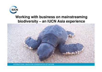 Working with business on mainstreaming biodiversity – an IUCN Asia experience INTERNATIONAL UNION FOR CONSERVATION OF NATURE  ASIA TODAY