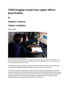 CHESS imaging reveals how copper affects plant fertility By Magdalen Lindeberg CORNELL CHRONICLE July 21, 2017