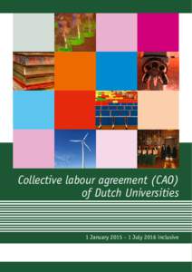 Collective labour agreement (CAO) of Dutch Universities 1 JanuaryJuly 2016 inclusive  Collective labour agreement (CAO) of Dutch universities