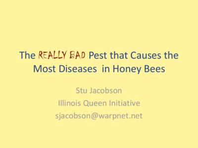 The REALLY BAD Pest that Causes the Most Diseases in Honey Bees Stu Jacobson Illinois Queen Initiative 