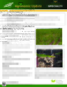 Soil science / Physiological plant disorders / Soil / Biology / Nutrient management / Plant nutrition / Zinc deficiency / Nitrogen deficiency / Nutrient / Chlorosis / Micronutrient deficiency