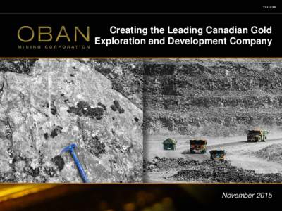 Creating the Leading Canadian Gold Exploration and Development Company November