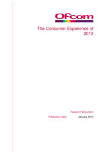 Consumer Experience Research Reportcombined draftdocx