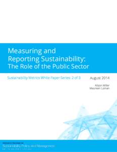 Measuring and Reporting Sustainability: The Role of the Public Sector Sustainability Metrics White Paper Series: 2 of 3