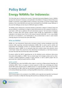 Policy Brief Energy NAMAs for Indonesia: This Policy Brief aims to introduce the concept of ‘Nationally Appropriate Mitigation Actions’ (NAMAs) and show the relevance for Indonesia, and specifically for the Ministry 