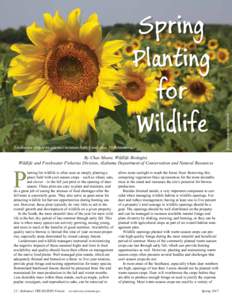 Sunflowers should be planted between April 1 and June 30 in Alabama.  By Chas Moore, Wildlife Biologist, Wildlife and Freshwater Fisheries Division, Alabama Department of Conservation and Natural Resources  P