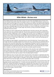 Killer Whale - Orcinus orca Killer Whales (Orcinus orca), also known as Orcas, are one of the most deadly marine animals in the world. Despite being called a whale, the predatory species is the largest of the dolphins, g