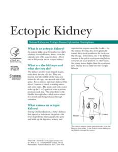 Ectopic Kidney National Kidney and Urologic Diseases Information Clearinghouse What is an ectopic kidney? U.S. Department of Health and