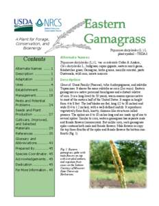 Eastern Gamagrass A Plant for Forage, Conservation, and Bioenergy
