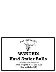WANTED! Hard Antler Bulls Contact for more information: Brian WagnerHoward Lake, MN