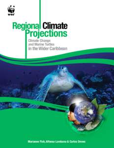 Climate Change and Marine Turtles in the Wider Caribbean  Marianne Fish, Alfonso Lombana & Carlos Drews