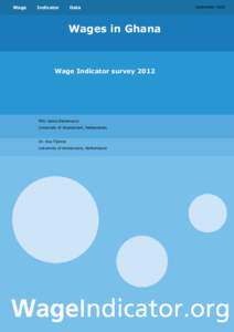 Wage Report Indicator  Data