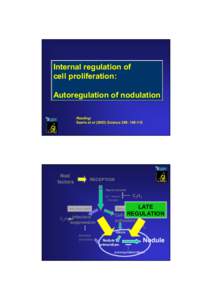 Internal regulation of cell proliferation: Autoregulation of nodulation Reading: Searle et alScience 299: 
