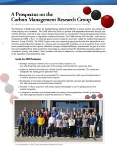 A Prospectus on the Carbon Management Research Group