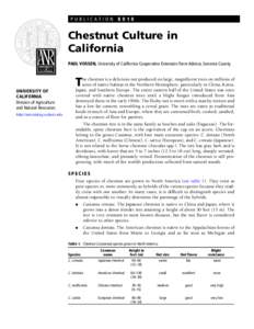 PUBLICATION[removed]Chestnut Culture in California PAUL VOSSEN, University of California Cooperative Extension Farm Advisor, Sonoma County