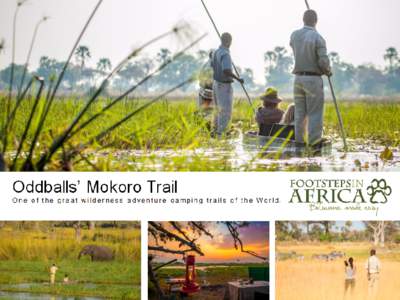 Oddballs’ Mokoro Trail is one of the great wilderness adventure-camping trails of the world. After spending at least one night at Oddballs’, acclimatizing, you will set off for a minimum of two nights, and for as m