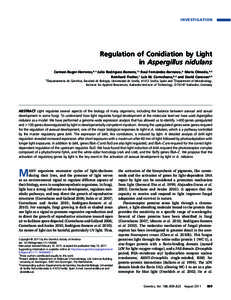 INVESTIGATION  Regulation of Conidiation by Light in Aspergillus nidulans Carmen Ruger-Herreros,*,1 Julio Rodríguez-Romero,†,1 Raul Fernández-Barranco,* María Olmedo,*,2 Reinhard Fischer,† Luis M. Corrochano,*,3 a