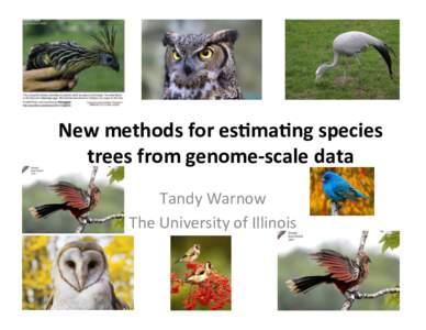New	methods	for	es-ma-ng	species	 trees	from	genome-scale	data	 Tandy	Warnow The	University	of	Illinois	  Phylogeny