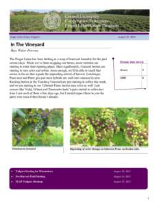 Finger Lakes Grape Program  August 19, 2015 In The Vineyard Hans Walter-Peterson