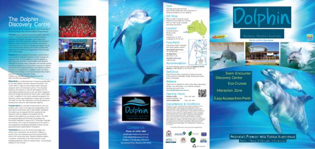 Bottlenose dolphin / Dolphin / Biology / Water / Zoology / Dolphins / Cetaceans / Dolphinarium