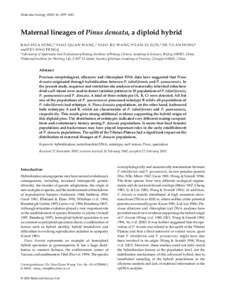 Molecular Ecology, 1057–1063  Maternal lineages of Pinus densata, a diploid hybrid Blackwell Science, Ltd