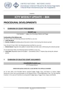 ICTY WEEKLY UPDATE – 804