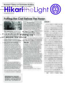 HikaritheLight November 2016 Putting the Cart Before the Horse  Our organization, whether local or