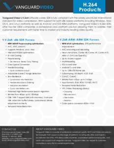 H.264_Products_Datasheet_Template