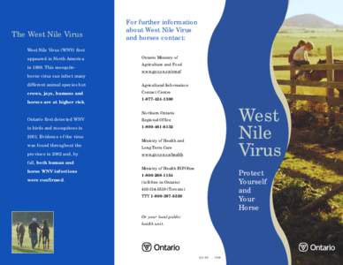 The West Nile Virus  For further information