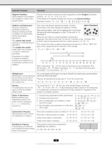 Important Concepts  Examples Negative Numbers Some subsets of the positive