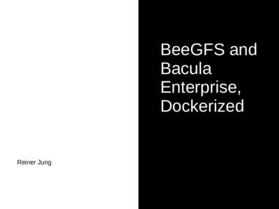 BeeGFS and Bacula Enterprise, Dockerized  Reiner Jung