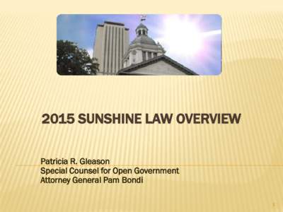 2015 SUNSHINE LAW OVERVIEW Patricia R. Gleason Special Counsel for Open Government Attorney General Pam Bondi 1