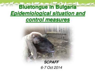 Bluetongue in Bulgaria Epidemiological situation update
[removed]Bluetongue in Bulgaria Epidemiological situation update