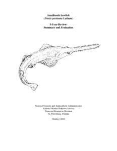 Smalltooth Sawfish (Pristis pectinata Latham) 5-Year Review: Summary and Evaluation  National Oceanic and Atmospheric Administration