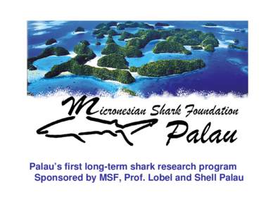 Palau’s first long-term shark research program Sponsored by MSF, Prof. Lobel and Shell Palau Key questions that lead to the foundation of MSF Palau Sharks seen at dive sites, do they reside in Palau