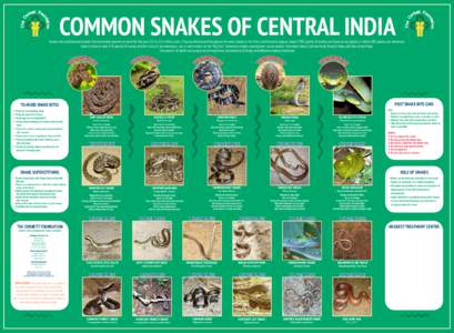 COMMON SNAKES OF CENTRAL INDIA  Snakes are cold-blooded animals that have been present on earth for the past 125 to 112 million years. They are distributed throughout the world except in the Arctic and Antarctic regions.