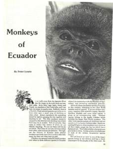 Monkeys of Ecuador By Peter Lourie  Red Howler Monkey